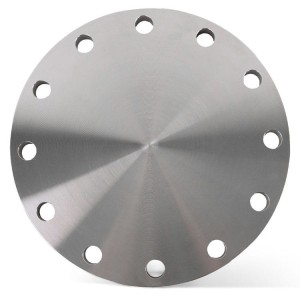 Kołnierz kuty zaślepiający nierdzewny DN250 273 mm EN1092-1/05A (PN10/16) 1.4541 / 321